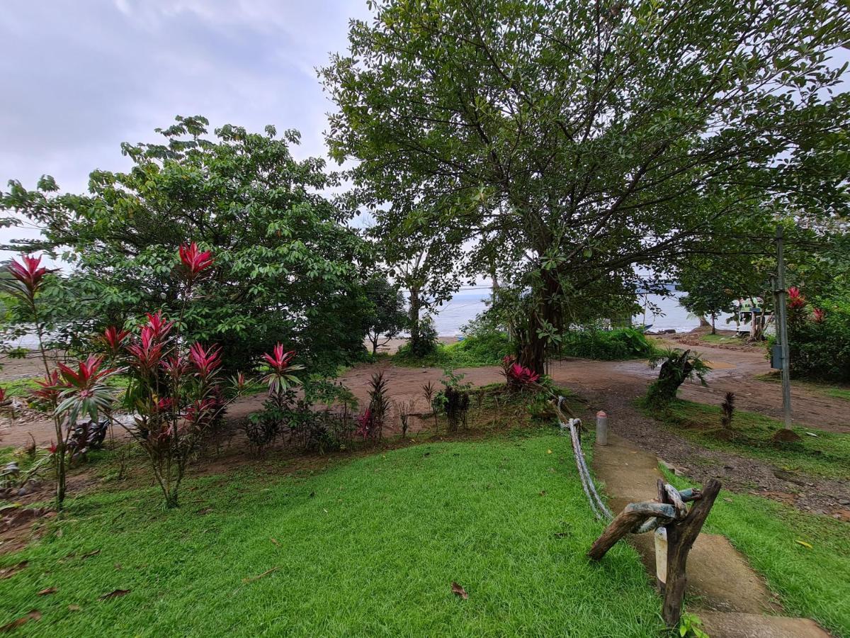 Osa Corcovado Lodge Дрейк Екстер'єр фото