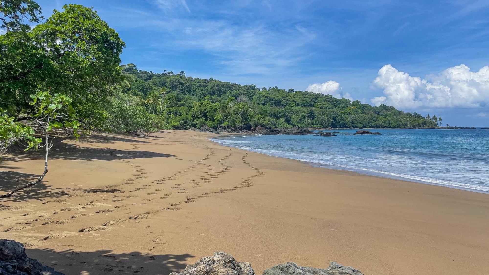 Osa Corcovado Lodge Дрейк Екстер'єр фото